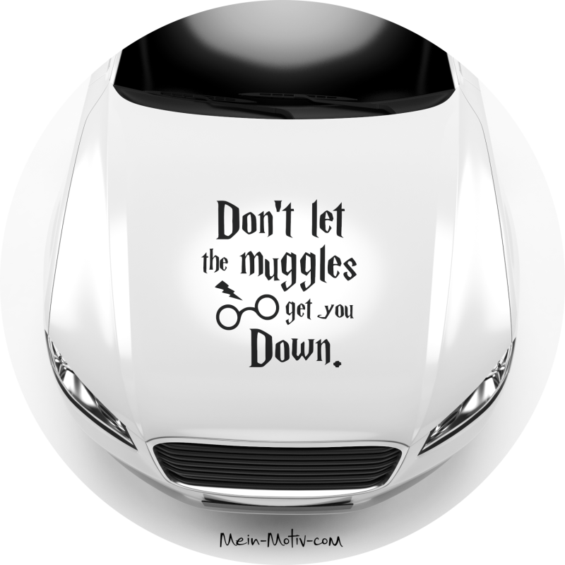 Aufkleber 46009 Harry P. Don't let the Muggles get you down